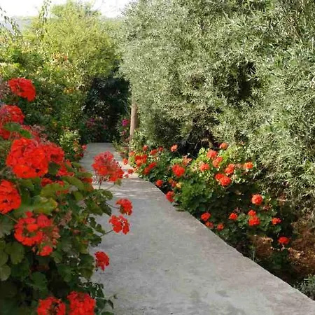 Mirabella 3*